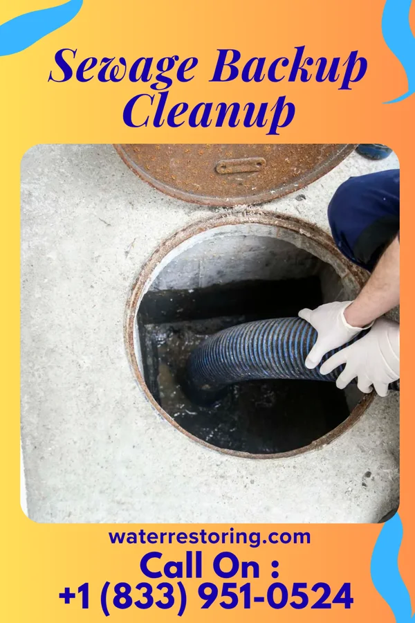 Sewage Backup Cleanup in Duenweg, MO