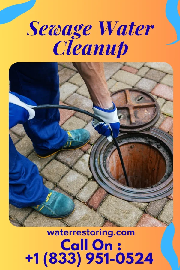 Sewage Water Cleanup in Duenweg, MO