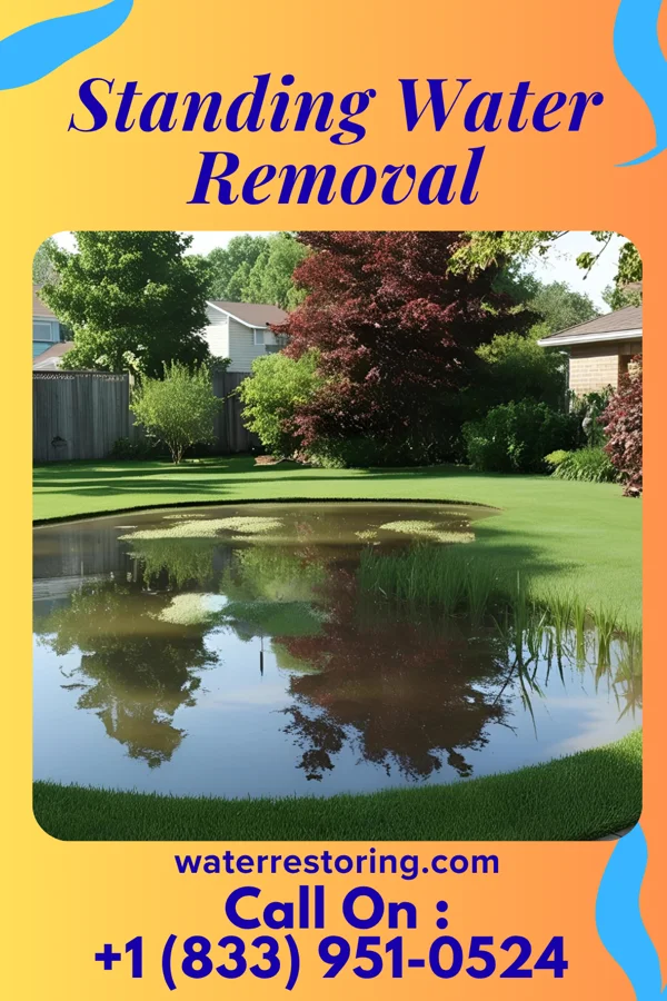 Standing Water Removal in Duenweg, MO